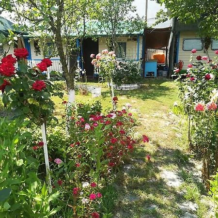 Camping Casuta Mihaela Crișan Zewnętrze zdjęcie