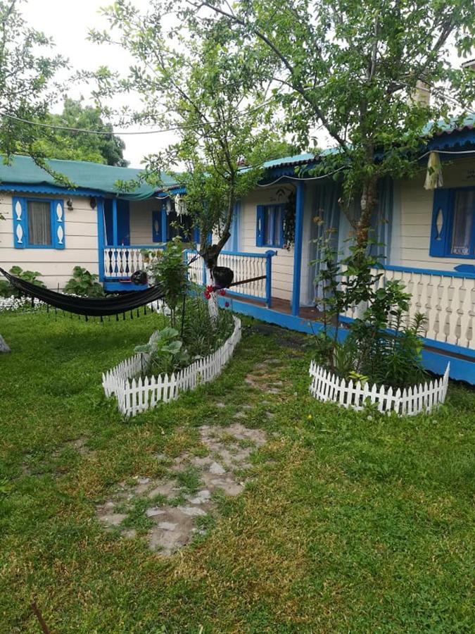 Camping Casuta Mihaela Crișan Zewnętrze zdjęcie
