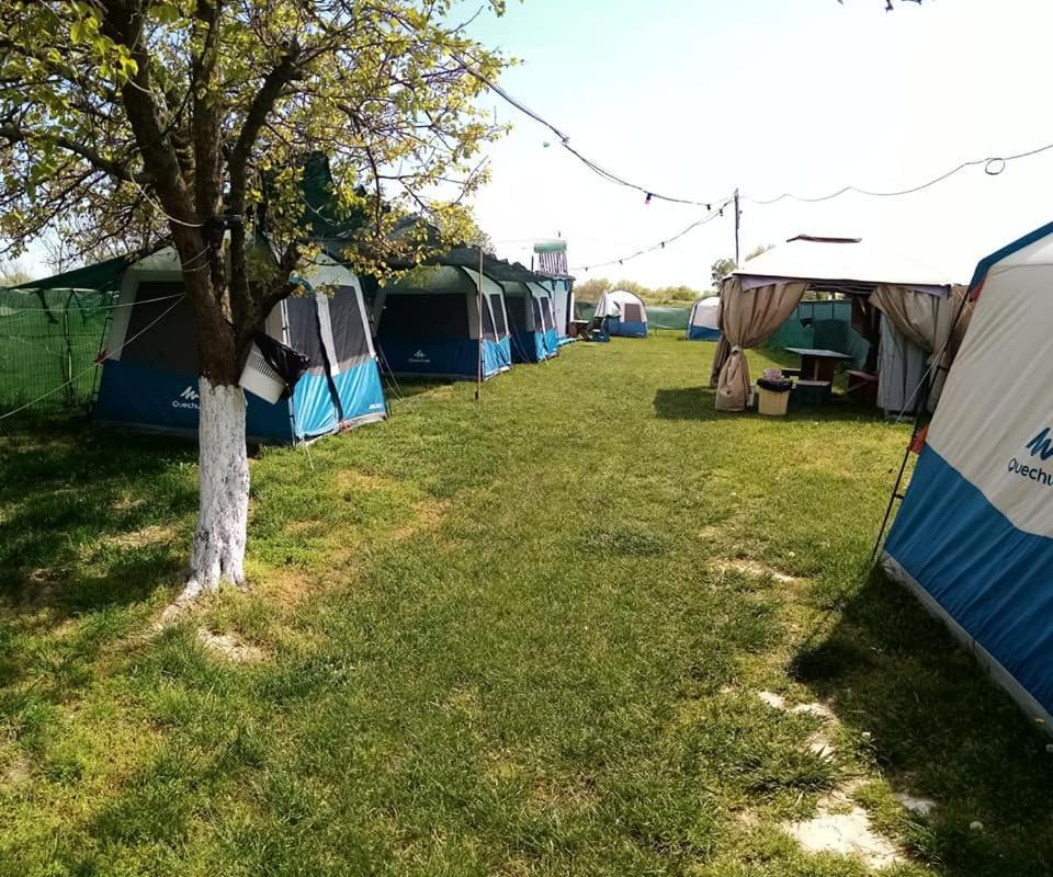 Camping Casuta Mihaela Crișan Zewnętrze zdjęcie