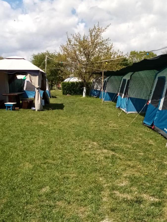 Camping Casuta Mihaela Crișan Zewnętrze zdjęcie