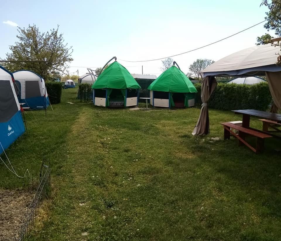 Camping Casuta Mihaela Crișan Zewnętrze zdjęcie
