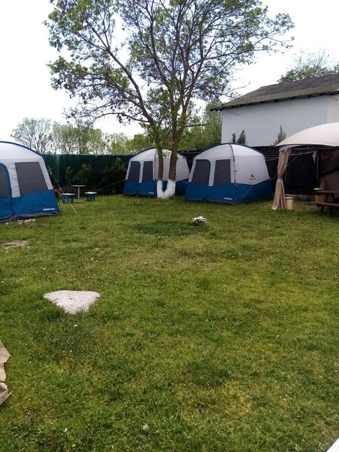Camping Casuta Mihaela Crișan Zewnętrze zdjęcie