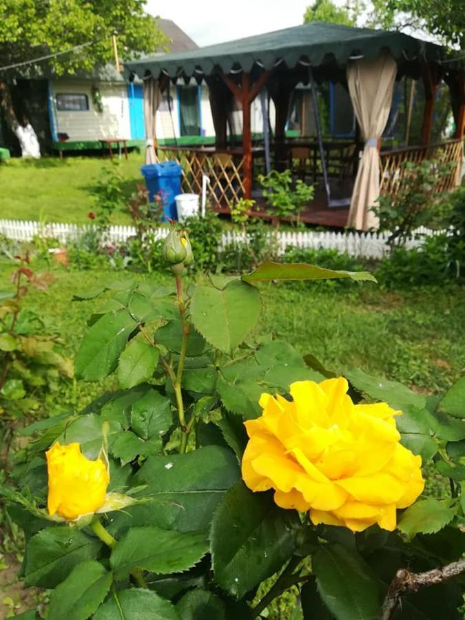 Camping Casuta Mihaela Crișan Zewnętrze zdjęcie