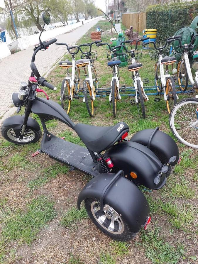 Camping Casuta Mihaela Crișan Zewnętrze zdjęcie