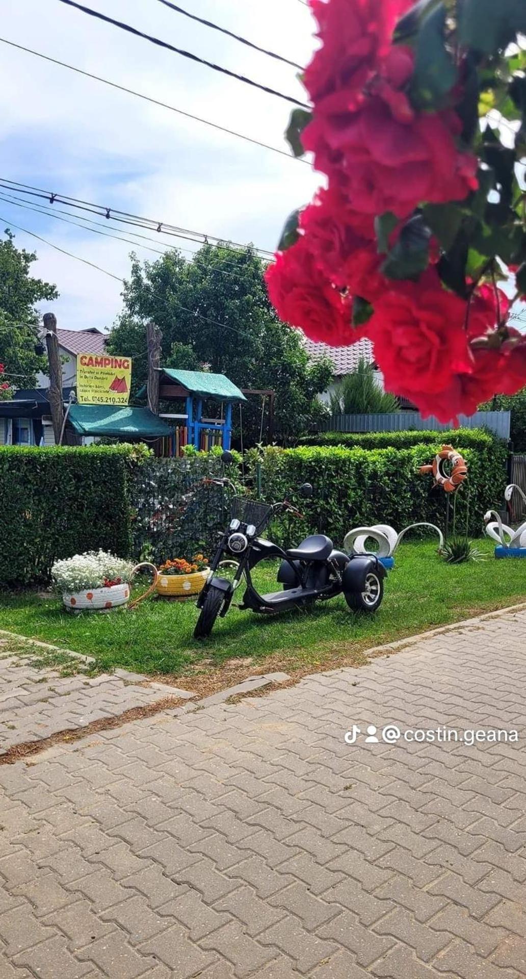 Camping Casuta Mihaela Crișan Pokój zdjęcie