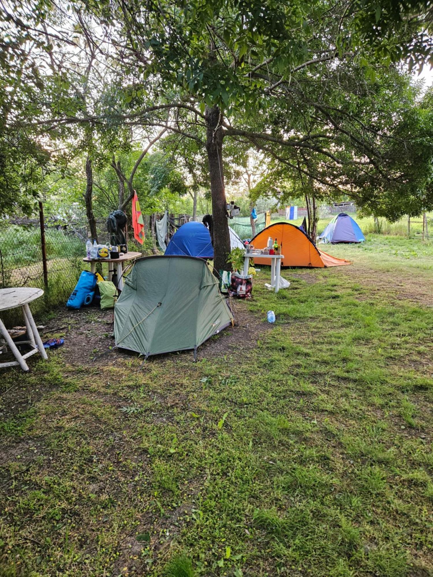 Camping Casuta Mihaela Crișan Pokój zdjęcie