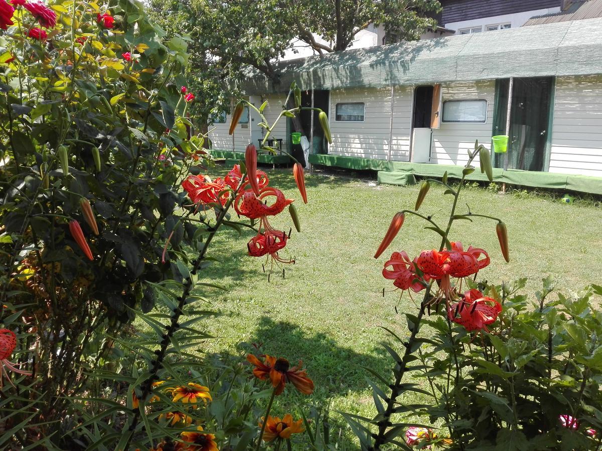 Camping Casuta Mihaela Crișan Zewnętrze zdjęcie