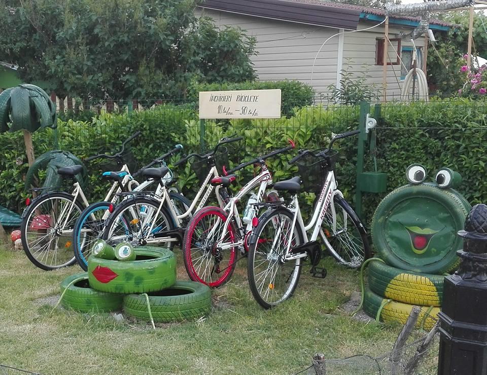 Camping Casuta Mihaela Crișan Zewnętrze zdjęcie