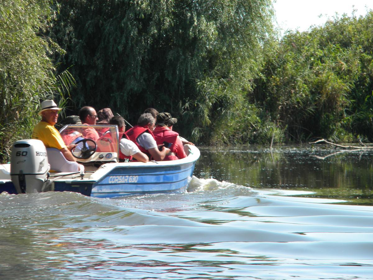 Camping Casuta Mihaela Crișan Zewnętrze zdjęcie