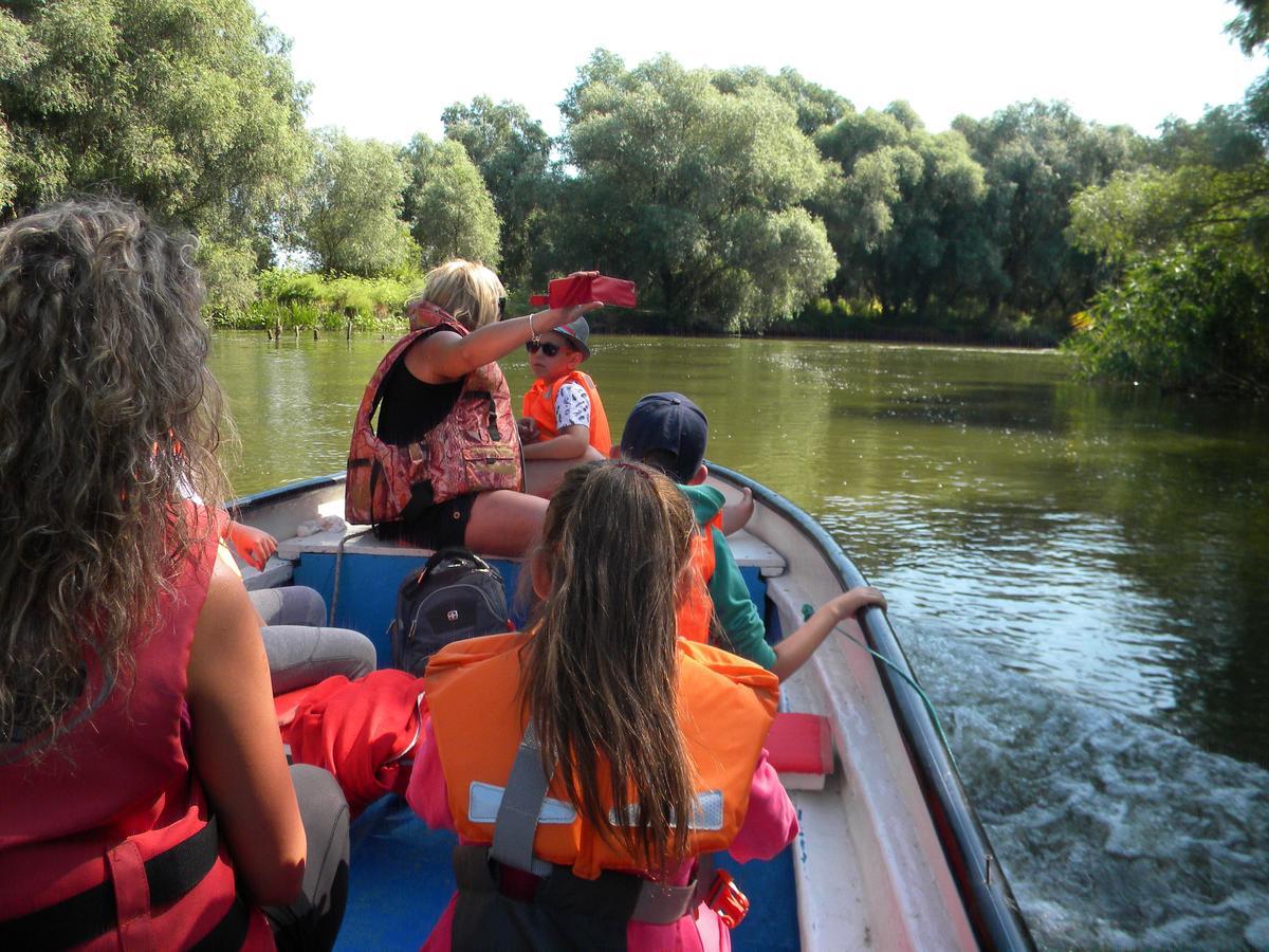 Camping Casuta Mihaela Crișan Zewnętrze zdjęcie