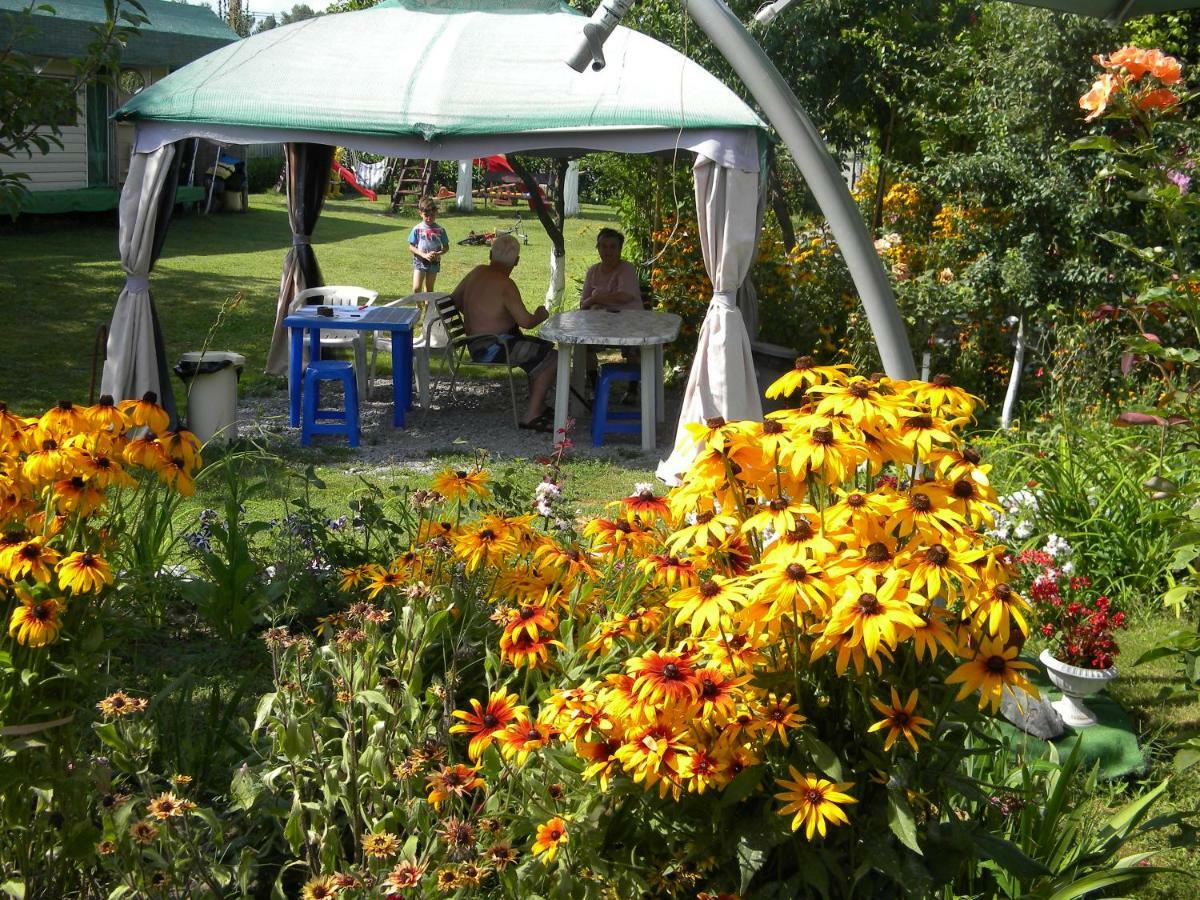 Camping Casuta Mihaela Crișan Zewnętrze zdjęcie